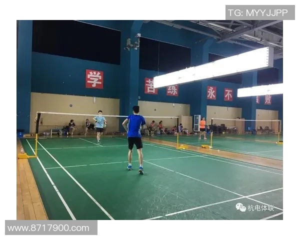 南京羽毛球队比赛经验分享与成长之路探讨