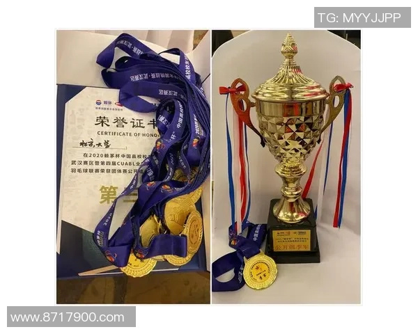 南京羽毛球队在挑战赛中的技术表现分析与点评