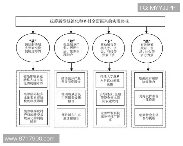 南京羽毛球队运营分析：成功经验与面临挑战的全面探讨